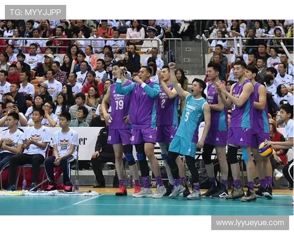 深圳排球队边路渗透战术解析与深度剖析排球竞技魅力