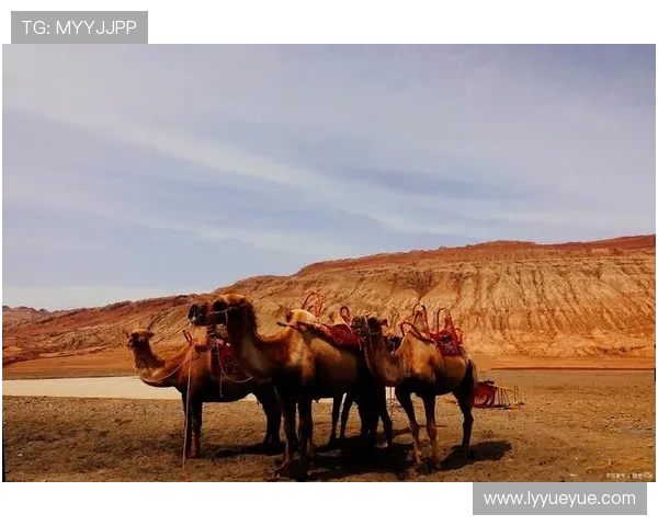 探索阿拉巴的神秘魅力与独特文化之旅