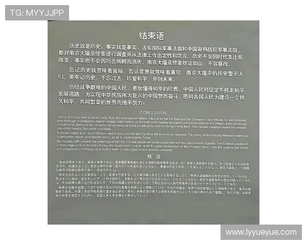 苏维与陆军的较量：历史的回响与未来的展望