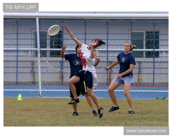 从零基础到飞盘高手：全面掌握飞盘技巧与战术指南